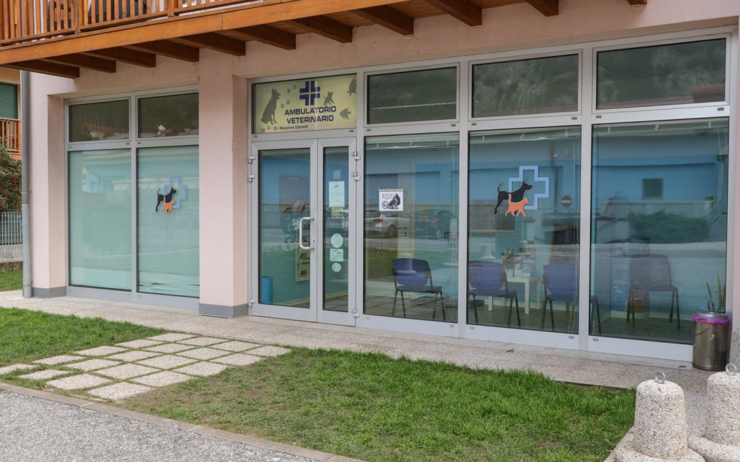 Profilassi vaccinali