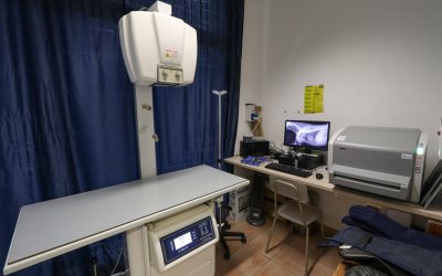 Ecografie e radiografie veterinarie