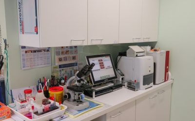 Visite specialistiche per animali