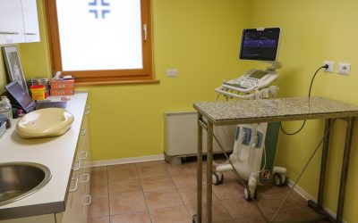 Visite di check up