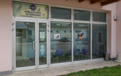 Degenza pre e post operatoria