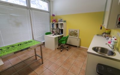 Interventi chirurgici